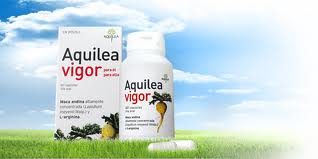 aquilea vigor