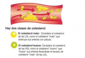 Colesterol-LDL