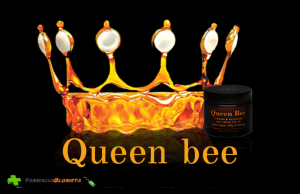 cover-queen-bee